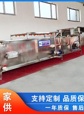 竹笋清洗设备 不锈钢叶类清洗设备 水果气泡清洗机 蓝莓清洗设备