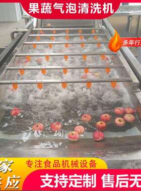 商用鸡蛋果气泡清洗机牛奶果洗果机304不锈钢油桃去泥气泡清洗机