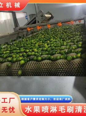 喷淋毛刷式地瓜土豆萝卜清洗机连续式白萝卜去泥机胡萝卜清洗机