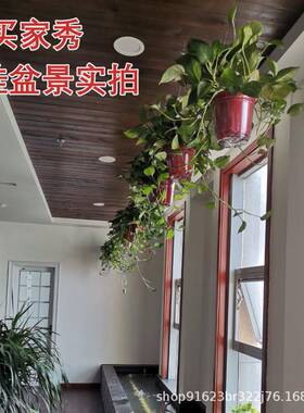 塑料膨胀灯钩挂钩膨胀石膏板挂钩吊灯晾衣绳不锈钢配件
