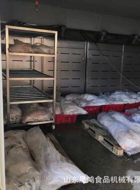 晟鸿羊酮体解冻设备 猪白条缓化机 大块牛肉低温高湿解冻机