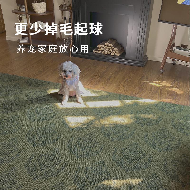 Baroque Auditorium, Muze high-end home, medieval French retro living room, green wool carpet, bedroom