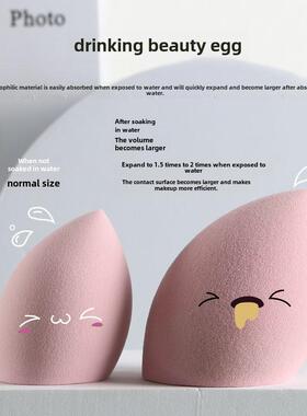 Different Sizes Makeup Sponge Dry&Wet Use Cosmetic Puff