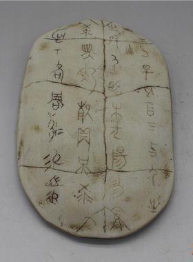 硬树脂甲骨文仿真小摆件龟甲兽骨古文字化石儿童认知早教玩具模型
