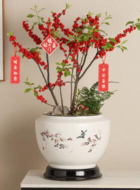 轻奢复古风陶瓷花盆大号接水托盘底座阳台客厅家用蝴蝶兰陶瓷花盆