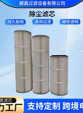 厂家除尘滤芯工业除尘滤筒喷砂喷塑粉尘过滤静电空气除尘滤芯