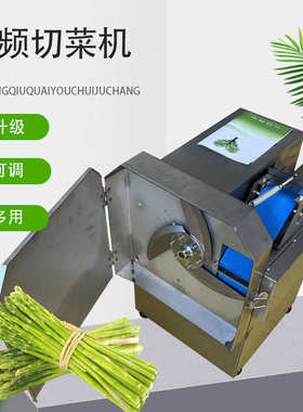 切菜机变频供应切段 806大型多功能切丝切菜机蔬菜商用切片厂家