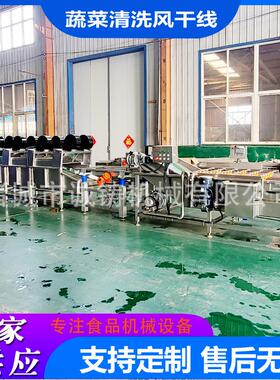 商用果蔬气泡清洗机油麦菜去杂清洗风干设备小白菜鼓泡翻浪清洗机