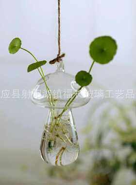 创意水培玻璃花瓶 多种规格形状悬挂式透明插花盆绿萝壁挂小鱼缸