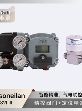 梅索尼兰masoneilan SVI II阀门定位器配昱科控阀DVA050高纯阀