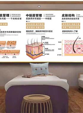 美容院皮肤管理挂画养生馆背景墙壁装饰画祛斑祛痘减肥护肤海报图