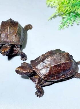 古玩招米平安龟风水老铜器实心铜金钱乌龟铜龟茶台茶宠盖置摆件