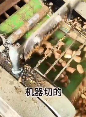 多功能材切段机 地黄丹参天花粉切段切丝两用 烟叶切丝机