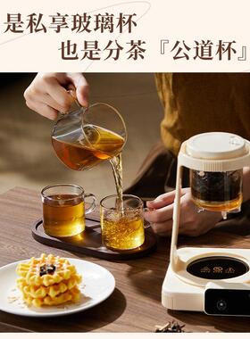 全玻璃煮茶壶养生壶小型办公室多功能迷你一人2025新款家用烧水壶
