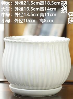 TEMU蝴蝶兰花盆陶瓷清仓大号花瓶