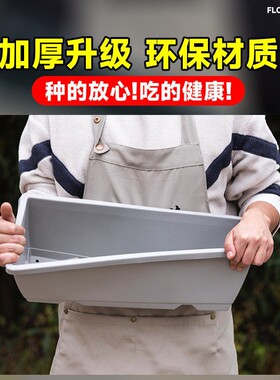 家庭种菜阳台盆长方形塑料长条花盆槽盆栽蔬菜种植盆树脂带托盘