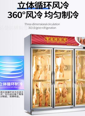 双门风冷晾鸭柜智能晾鸭柜晾胚柜商用烤鸭烤鹅烘干除湿晾干柜