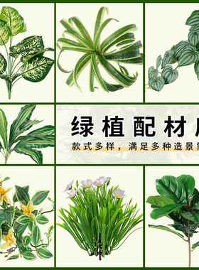 仿真蕨类假植物假草假花造景小配材客厅庭院阳台盆栽盆景装饰材料