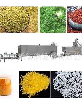 健康饮食双螺杆产D545T70强营养化米生产线 营养米生设大备厂家