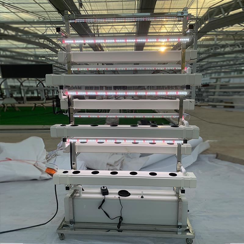学校无土栽培蔬菜草莓种植双面垂直架水培设备阳台水耕多层种菜机 - 图2