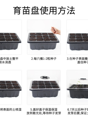 家用带盖育苗穴盘育苗神器专用盆营养杯塑料长方形托盘扦插芽菜盒