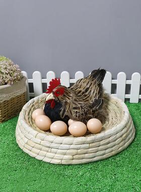 彷真母鸡公鸡动物标本孵蛋鸡模型工艺礼品摆饰超市鸡蛋装饰美陈道