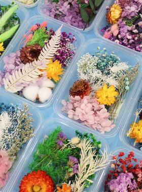 200pc Real Dried Flowers For DIY Art Craft Epoxy Resin Candl