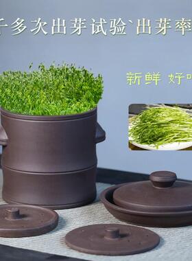 纯天然新品带提手款紫砂豆芽罐豆芽机半自动发芽机发菜苗豆苗大号