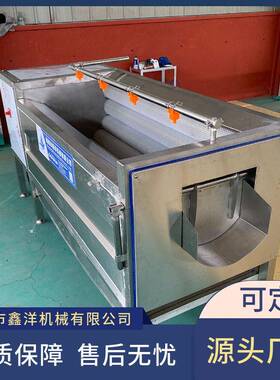 全自动毛辊清洗机 胡萝卜红薯莲藕清洗去皮抛光机 食品加工设备