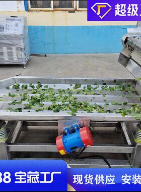 泡气清洗机全自动喷淋净菜洗设清备山野菜切割清洗加工流水线