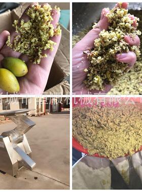 饺子醋生姜研磨粉碎机量产速土豆渣破碎机西红柿蓝莓果蔬打浆机