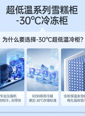 澳柯玛雪糕柜岛柜展示陈列柜多篮筐卧式弧形玻璃门商用冷柜