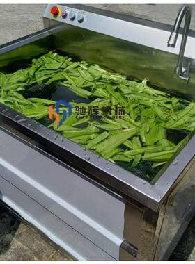 驰辉机械缸洗菜机食堂小型果蔬清洗机洗油菜辣椒机洗果机