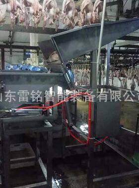 白条鸡鸭鹅屠宰加工配套胴体称重机设备鸽子鹌鹑自动称重胴体称