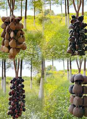 天然果壳手摇铃疗愈乐器瑜伽伴奏解压音疗包包挂件家居风铃挂饰