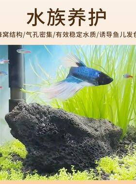 黑色天然火山石颗粒多肉铺面拌土鱼缸过滤专用底砂水族造景火山岩