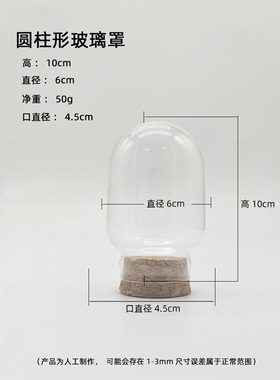 diy玻璃罩软木塞纪念品装饰摆件