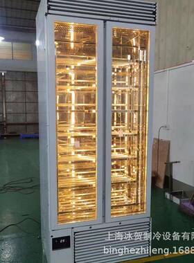 冰贺西餐厅火锅店商用冷藏展示柜不锈钢牛肉熟成柜牛肉柜干式湿式