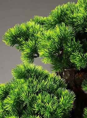 仿真迎客松盆景植物客厅玄关办公室绿植盆栽摆件家居装饰开业礼品