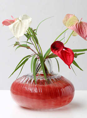 碧轩批发水培创意石榴红小口南瓜花瓶客厅软装家居装饰品透明摆件