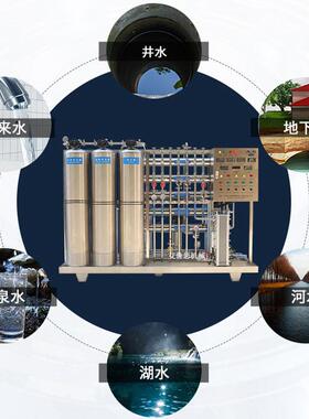 500L/H二极反渗透水处理+软化 不锈钢双极去离子软化纯水机设备