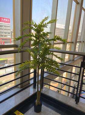 盆栽走道仿真假树椿香树小树酒店民宿园艺绿色植物装饰摆件