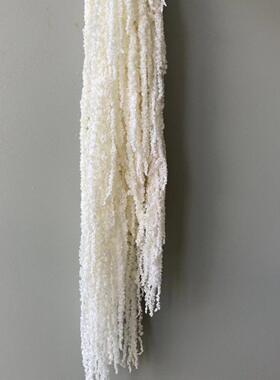 吊米永生花柔丽丝情人泪干 干花装饰婚礼布置悬挂花艺真花婚庆软