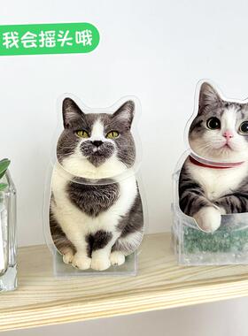 宠物猫咪摇头桌面摆件定制摇头晃脑汽车狗狗摇摇乐可爱网红治愈系