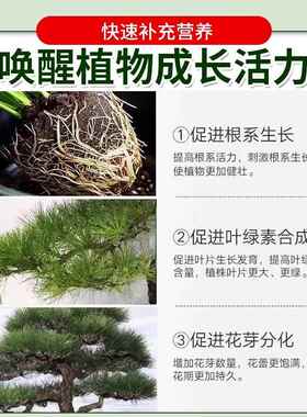 树木营养液吊针输液袋树木激活液移栽嫁接唤醒细胞促芽生根