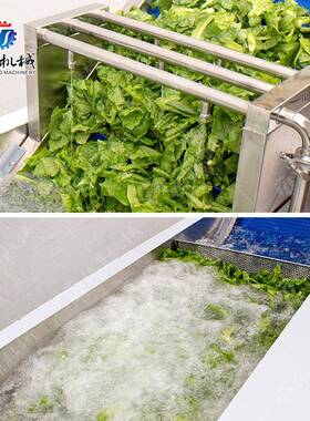 现货供应辣椒清洗机 枸杞清洗生产设备 净菜加工流水线配套清洗机