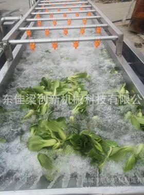 全自动果蔬气泡清洗机、小龙虾鱼海蛎子气泡清洗机、茄子芸豆韭菜