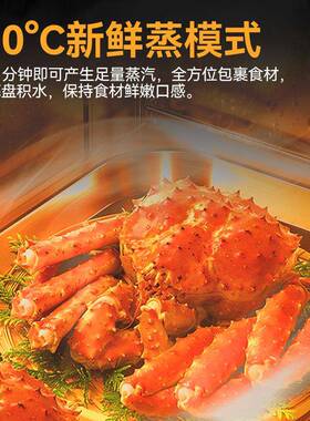麦大厨商用蒸烤箱多功能大型电烤箱全自动热风循环蒸烤一体机