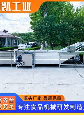 秋葵气泡清洗机厂家供应樱桃气泡清洗机设备果蔬清洗机设备