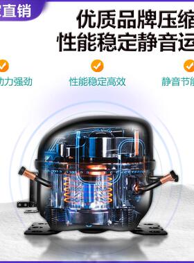 移动摆摊冷藏冷冻展示柜台式阶梯展示柜夜市三轮车串串卧式冰柜